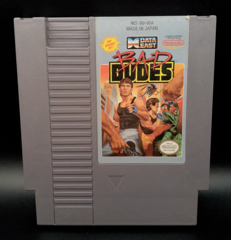Bad Dudes