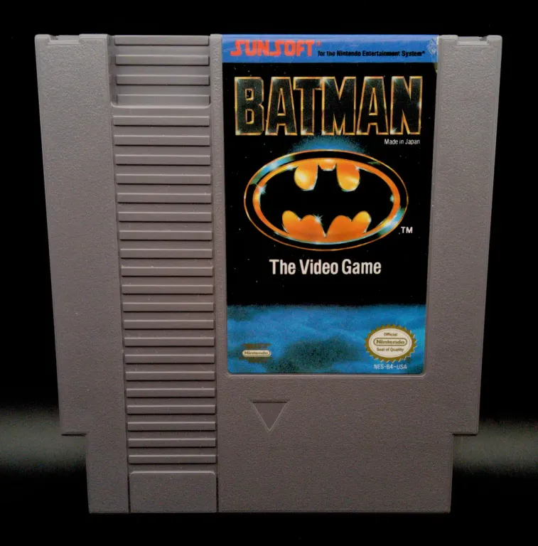 Batman The Video Game