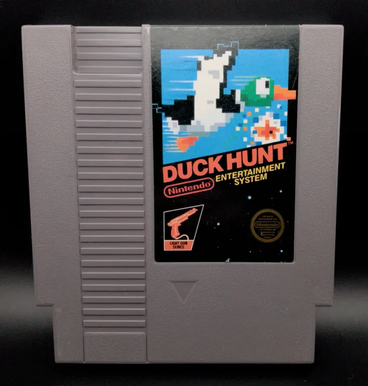 Duck Hunt